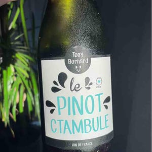 Le Pinotctambule - Domaine Bornard - Tony Bornard 