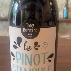 Le Pinotctambule - Domaine Bornard - tony-bornard