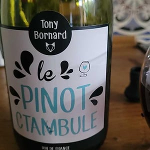 Le Pinotctambule - Domaine Bornard - Tony Bornard 