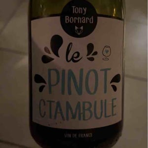 Le Pinotctambule - Domaine Bornard - Tony Bornard 