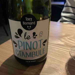 Le Pinotctambule - Domaine Bornard - Tony Bornard 