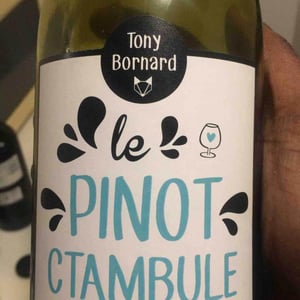 Domaine Bornard - Tony Bornard - Le Pinotctambule