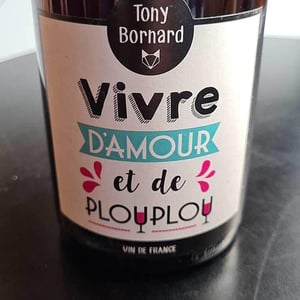 Le Pinotctambule - Domaine Bornard - tony-bornard