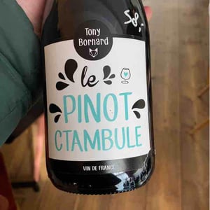 Le Pinotctambule - Domaine Bornard - tony-bornard