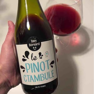 Domaine Bornard - Tony Bornard - Le Pinotctambule