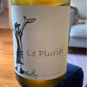 Le Pluriel Blanc - Clos Des Boutes - Sylvain Boutée 