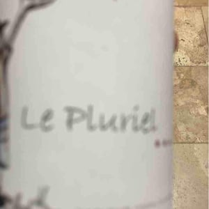 Le Pluriel Blanc - Clos Des Boutes - sylvain-boutee