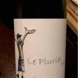 Le Pluriel Blanc - Clos Des Boutes - Sylvain Boutée 