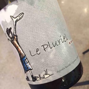 Le Pluriel Rouge - Clos Des Boutes - Sylvain Boutée 