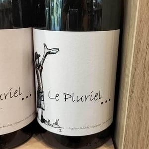 Le Pluriel Rouge - Clos Des Boutes - sylvain-boutee