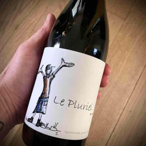 Le Pluriel Rouge - Clos Des Boutes - Sylvain Boutée 