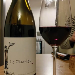 Le Pluriel 2017 - Clos Des Boutes - Sylvain Boutée