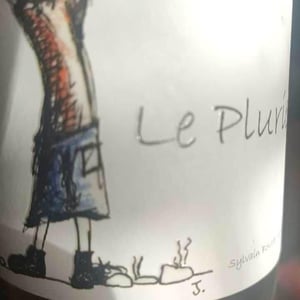 Clos Des Boutes - Sylvain Boutée - Le Pluriel Rouge