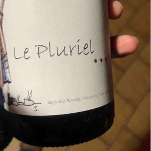 Le Pluriel Rouge - Clos Des Boutes - Sylvain Boutée 