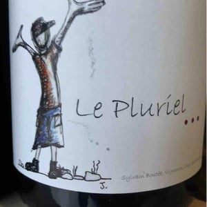 Le Pluriel Rouge - Clos Des Boutes - sylvain-boutee