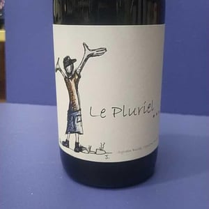 Le Pluriel Rouge - Clos Des Boutes - sylvain-boutee