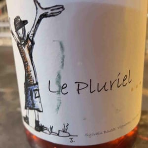 Le Pluriel Rouge - Clos Des Boutes - sylvain-boutee