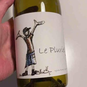 Le Pluriel Rouge - Clos Des Boutes - sylvain-boutee