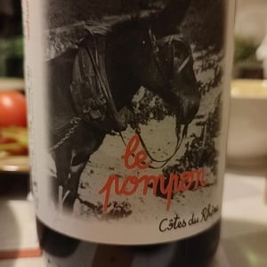 Le pompon - Domaine Boisson - regis-et-bruno-boisson -2021