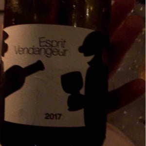 Domaine Thuronis - Vigneron Bien Fêteur - Alexandre Coulange & Astrid Lerouxel - Le Pourboire du Vigneron