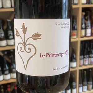 Le printemps - Noëlla Morantin - noella-morantin -2022