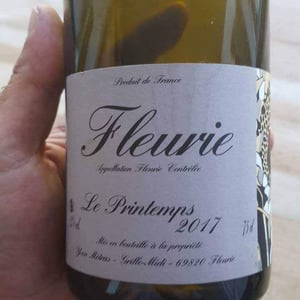 Domaine Métras - Yvon Métras - Le Printemps
