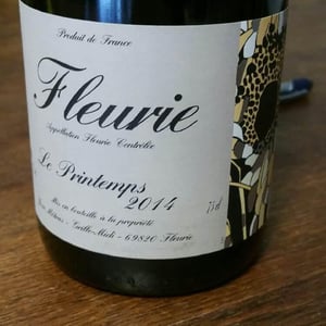 Le Printemps - Domaine Métras - Yvon Métras 