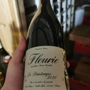 Le Printemps - Domaine Métras - yvon-metras
