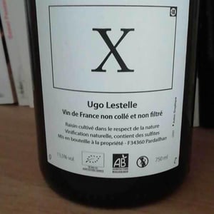 Le P’tit Bonhomme - Ugo Lestelle - ugo-lestelle