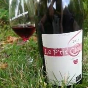 Le P'tit Clou - Domaine de Mirebeau - bruno-rochard