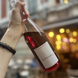 Le P'tit Sans Gêne - Domaine Jousset - lise-bertrand-jousset