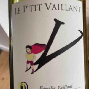Les Grandes Vignes - Laurence, Dominique & Jean-François Vaillant - Le P'tit Vaillant Rouge (5L)