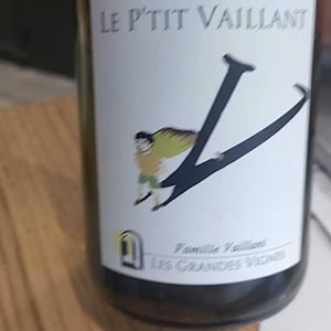 Le P'tit Vaillant Rouge - Les Grandes Vignes - laurence-dominique-jean-francois-vaillant -2021