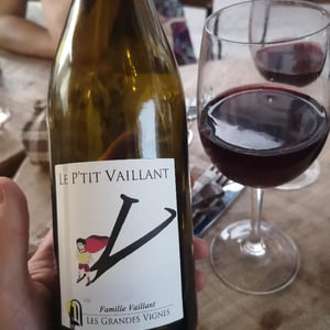Le P'tit Vaillant Rouge - Les Grandes Vignes - laurence-dominique-jean-francois-vaillant -2021