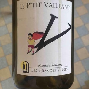 Les Grandes Vignes - Laurence, Dominique & Jean-François Vaillant - Le P'tit Vaillant Rouge (5L)
