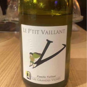 Les Grandes Vignes - Laurence, Dominique & Jean-François Vaillant - Le P'tit Vaillant Rouge (5L)