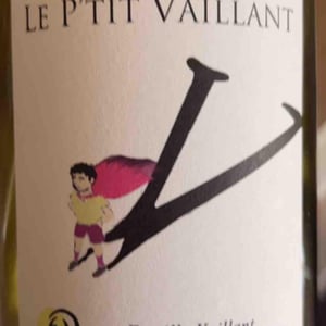 Le P'tit Vaillant Rouge - Les Grandes Vignes - Laurence, Dominique & Jean-François Vaillant -2021