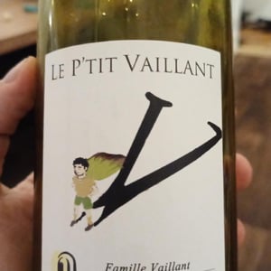 Le P'tit Vaillant Blanc - Les Grandes Vignes - laurence-dominique-jean-francois-vaillant