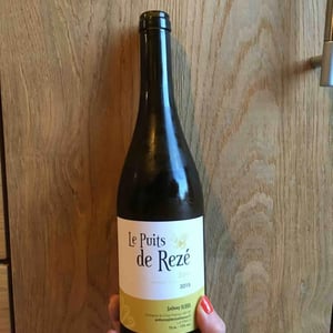 Le Puits de Rezé (Blanc) - Domaine du Clos Fremur - Anthony Robin 