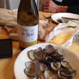 Le Puits de Rezé (Blanc) - Domaine du Clos Fremur - Anthony Robin 