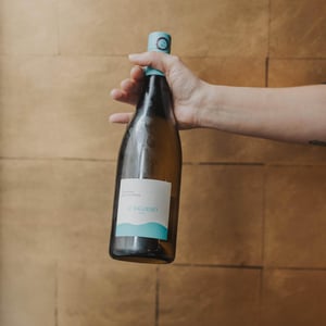 Le Raguenet - Domaine Vincendeau - liv-vincendeau -2019