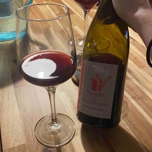 Le Ratapoil Rouge 2019