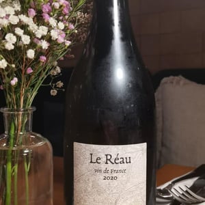 Le Réau - Terra Vita Vinum - benedicte-luc-briand -2020