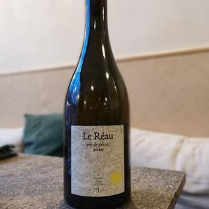 Le Réau - Terra Vita Vinum - benedicte-luc-briand -2020