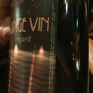 Les Vignes de l'Angevin - Jean-Pierre Robinot - Le Regard