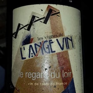 Le Regard - Les Vignes de l'Angevin - jean-pierre-robinot