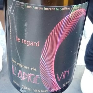 Les Vignes de l'Angevin - Jean-Pierre Robinot - Le Regard
