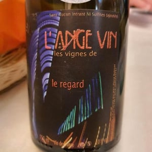 Les Vignes de l'Angevin - Jean-Pierre Robinot - Le Regard