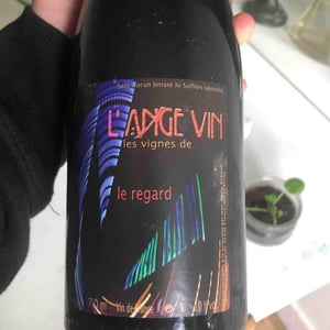 Les Vignes de l'Angevin - Jean-Pierre Robinot - Le Regard