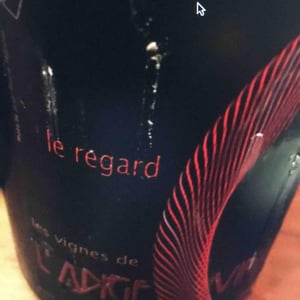 Les Vignes de l'Angevin - Jean-Pierre Robinot - Le Regard